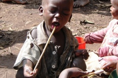 pygmeeobed