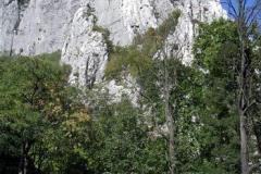 bulhzabat