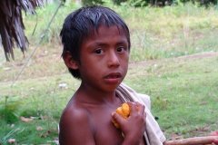 malypiaroa