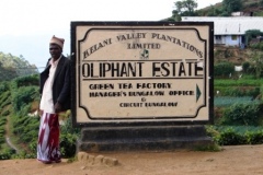 oliphantestate