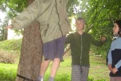 tabor_lajna