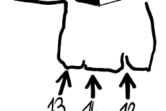 c__cervenastena