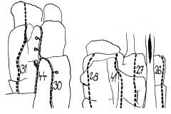 fskupinaokolobyvale_rozhledny
